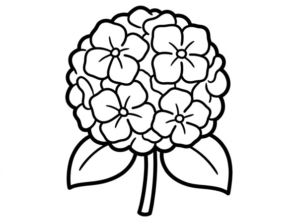 大きなあじさいの花を中央に描いた簡単なぬりえ